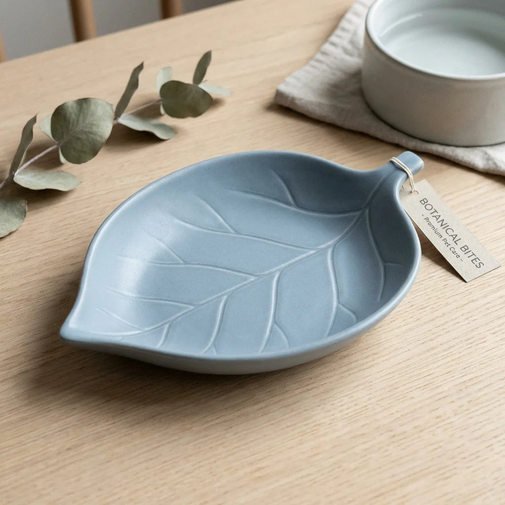 Aesthetic Blue Mushroom Hideout